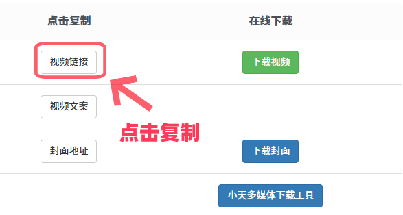 “视频链接”，点击复制